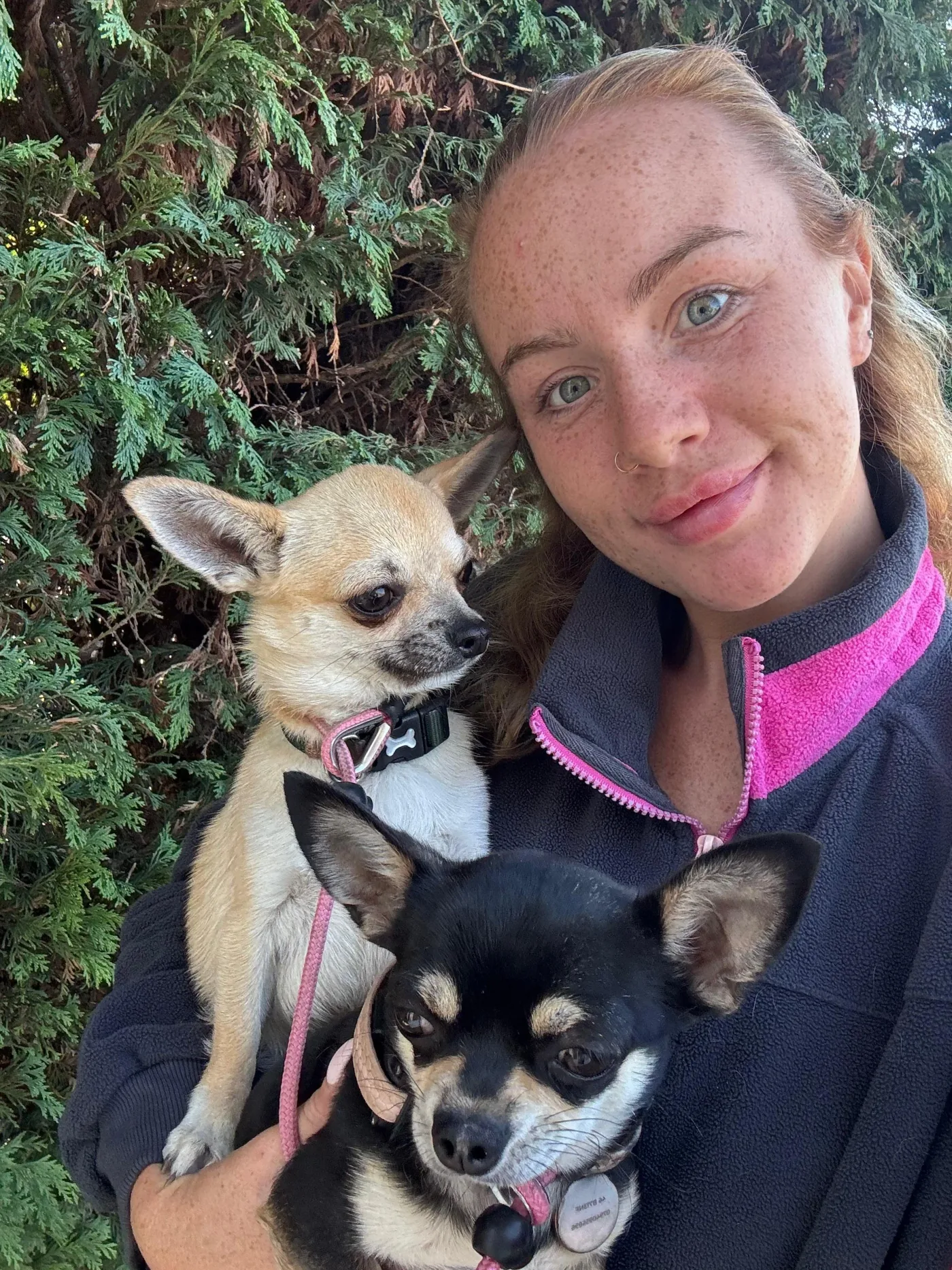Amy with two of her Chihuahuas
